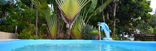 capoeira camp salvador bahia brazil